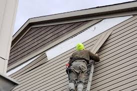 Best Aluminum Siding Installation  in Crainvle, IL